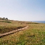 Swanton Pacific Ranch