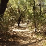 Tapia Park @ Malibu Creek State Park (SP)