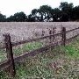 Topanga State Park (SP)