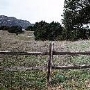 Topanga State Park (SP)
