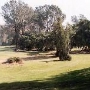 Bidwell Park Golf Course
