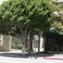 9th St. and Hope St.