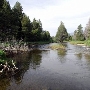 Washoe Meadows State Park (SP)