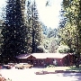 Westminster Woods