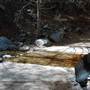Angeles National Forest