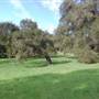 Ventura Farms