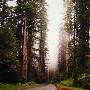 Bald Hills Road