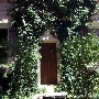 Blue Rock Vineyard