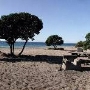 Sycamore Cove State Beach (SB) & Campground @ Point Mugu State Park (SP) - CFC