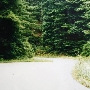 Freshwater Road
