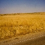 Highway 33