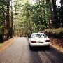 Highway 236 - Felton