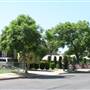 Jefferson Park Neighborhood