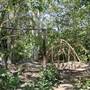 Shipley Nature Center