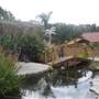 Paradise Ranch Pet Resort