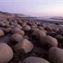 Schooner Gulch State Beach (SB) / Bowling Ball Beach