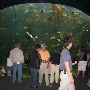 California Academy of Sciences