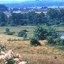 Azalea State Natural Reserve (SNR)