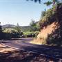 Jones Valley Rd. Shasta