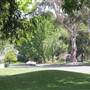 Chapman Woods Neighborhood Streets