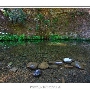 Portola Redwoods State Park (SP)