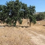 Dawson Ranch