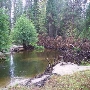 Johnson's Meadow