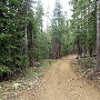 Burton Creek State Park (SP)