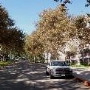 California State Polytechnic University, Pomona - Cal Poly Pomona