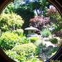 Japanese Tea Garden - San Mateo Central Park & Recreation Center