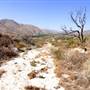 Johnson Ranch / White Cave Mountain