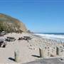 Sycamore Cove State Beach (SB) & Campground @ Point Mugu State Park (SP) - CFC