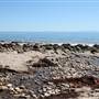 El Capitan State Beach (SB)