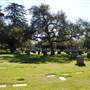 Mountain View Cemetery