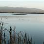 Arcata Marsh and Wildlife Sanctuary