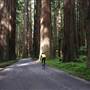 Mattole Road (2)
