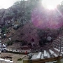 Camp Hollywoodland