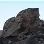Upland Game Hunting Area - California Department of Fish and Wildlife (CDFW)