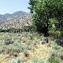 Canebrake Ecological Reserve - California Department of Fish and Wildlife (CDFW)