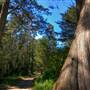 San Bruno Mountain State Park (SP)