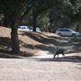 Bogart Regional Park