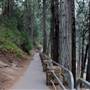 McArthur-Burney Falls Memorial State Park (SP)