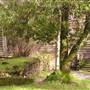 Bale Grist Mill State Historic Park (SHP)