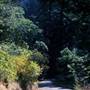 Bothe-Napa Valley State Park (SP)