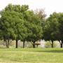 Brannan Island State Recreation Area (SRA)