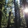 Burton Creek State Park (SP)