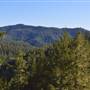 Butano State Park (SP)