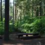 Calaveras Big Trees State Park (SP)