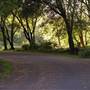 Caswell Memorial State Park (SP)