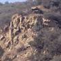 Chino Hills State Park (SP)